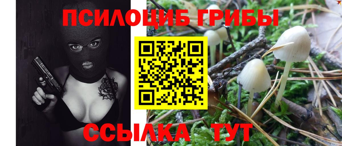 Галлюциногенные грибы Cubensis  Вход с VPN  Тула  Псилоцибиновые грибы Psilocybe 