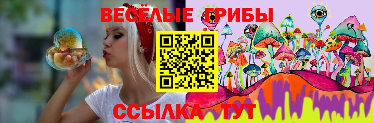Псилоцибиновые грибы Magic Shrooms Тула
